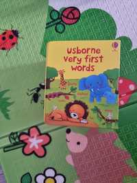 Zestaw książek po angielsku 10 st. usborne very first words