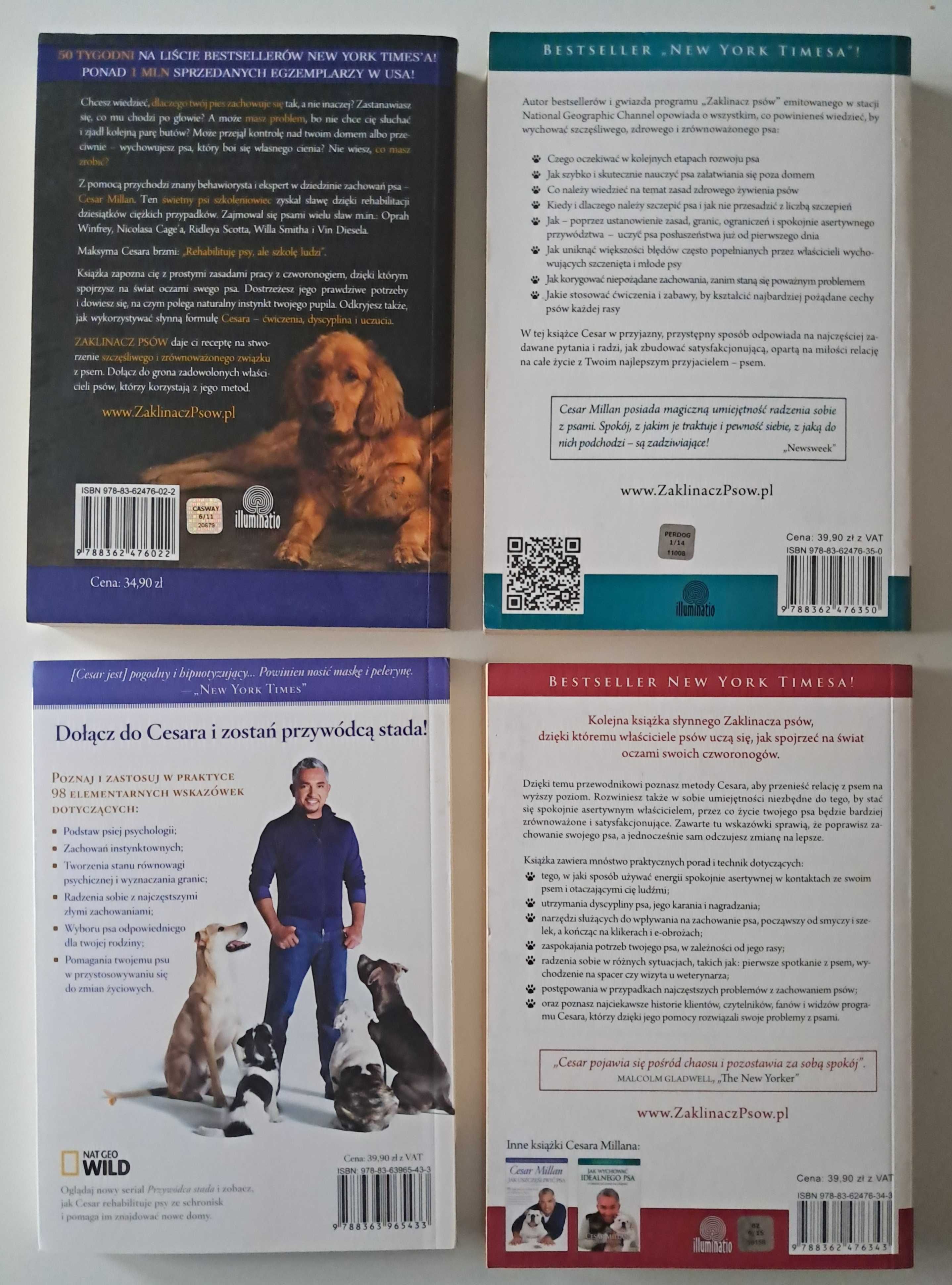 Zaklinacz psów Cesar Millan x 4