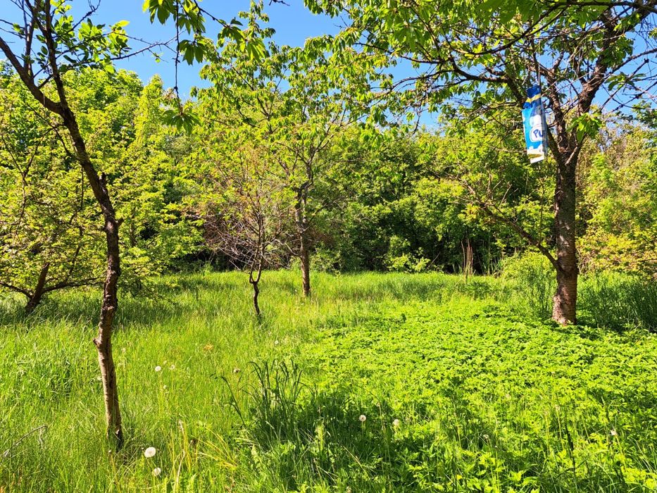 MIESZKANIE (do remontu) i DZIAŁKA 20 arów z możliwoscią ZABUDOWY
