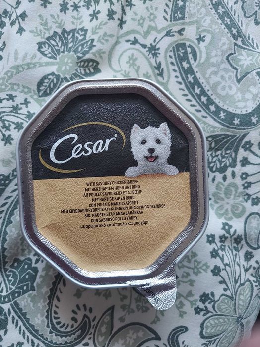 Zestaw zabawka dla psa lama ,piłka na przymski,karma cezar