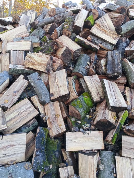 Drewno opałowe bukowe