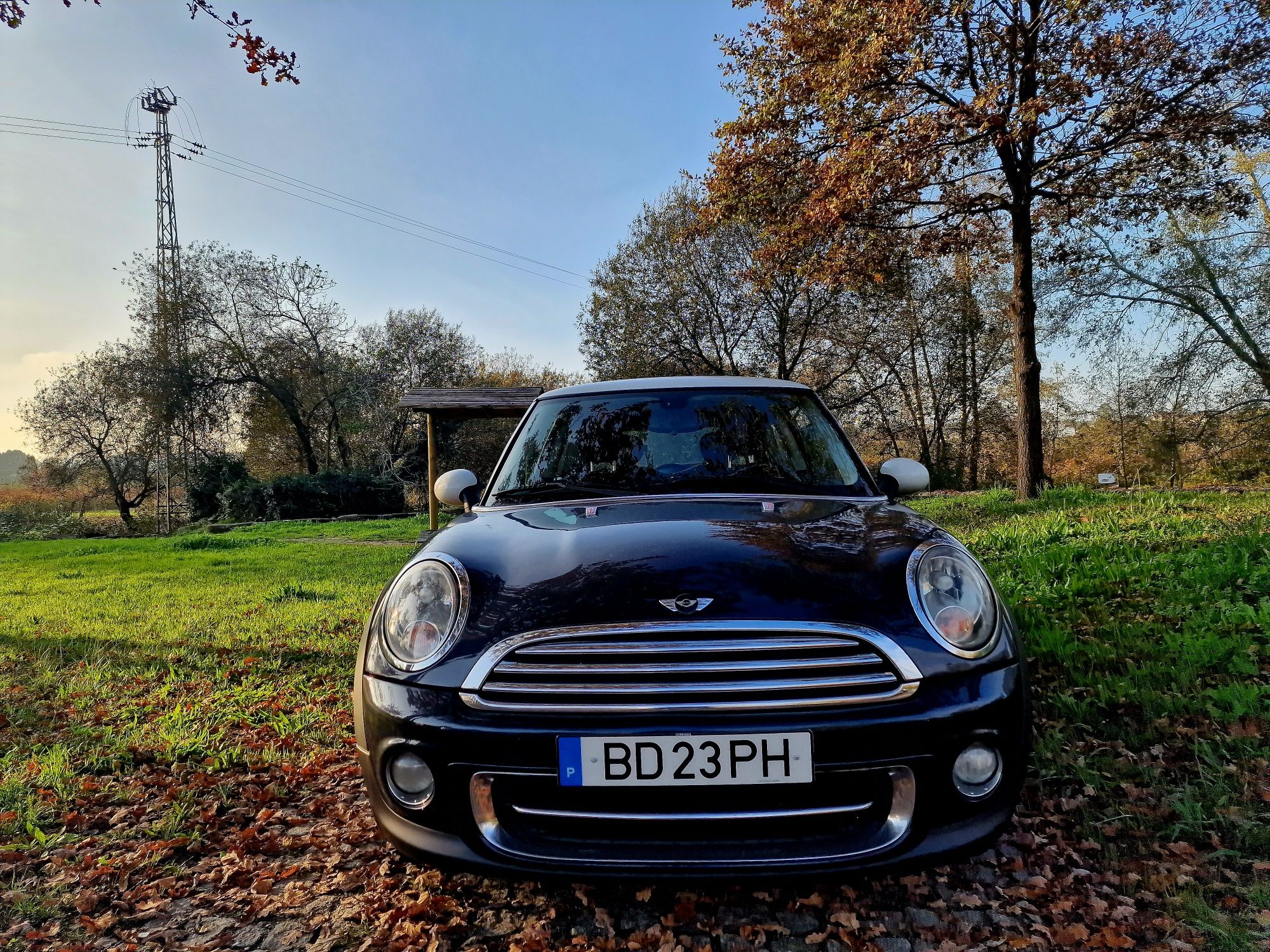 Mini Cooper d 2008