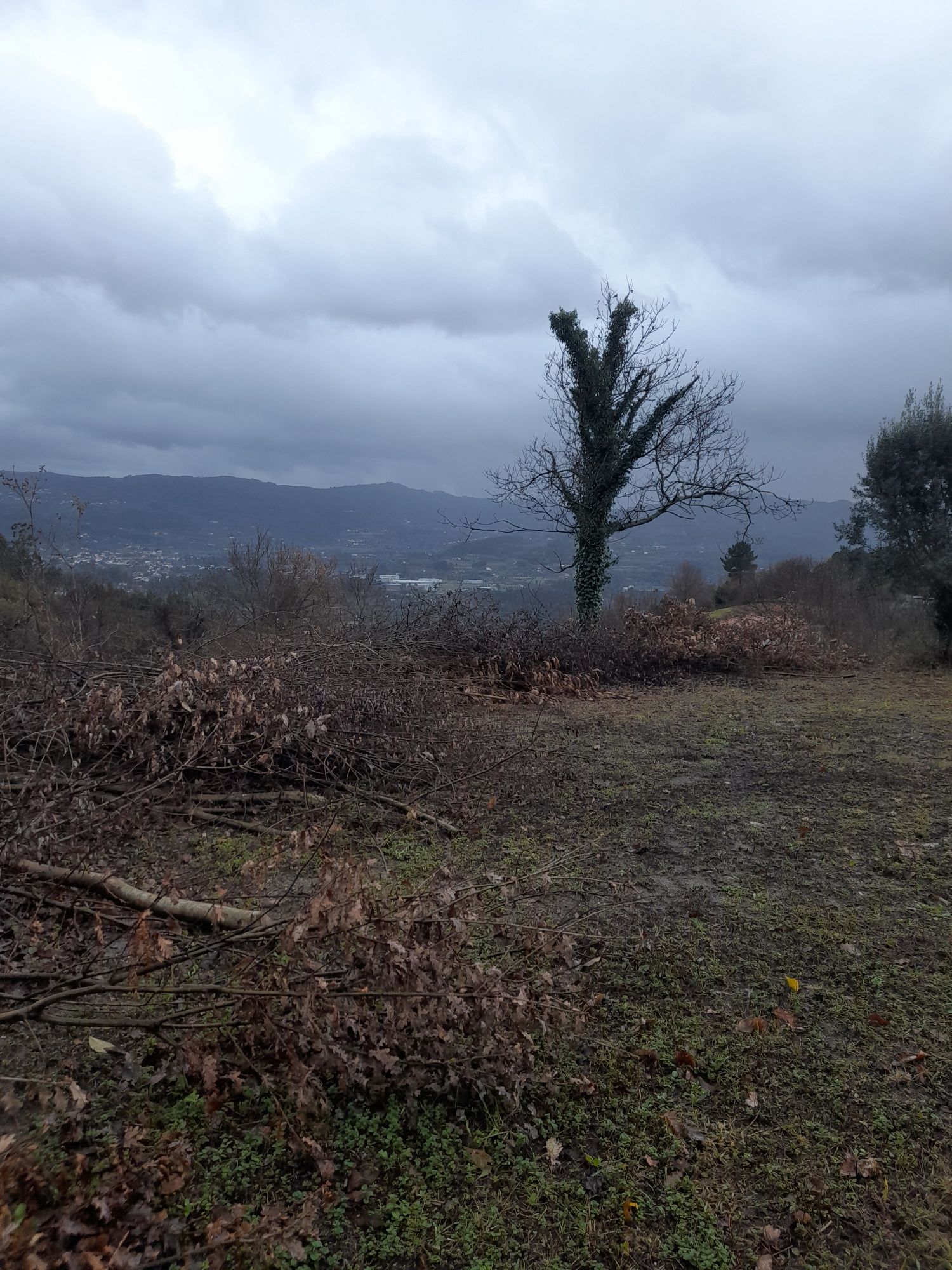 Terreno em zona calma