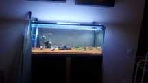Aquario 200 LITROS Com Tudo