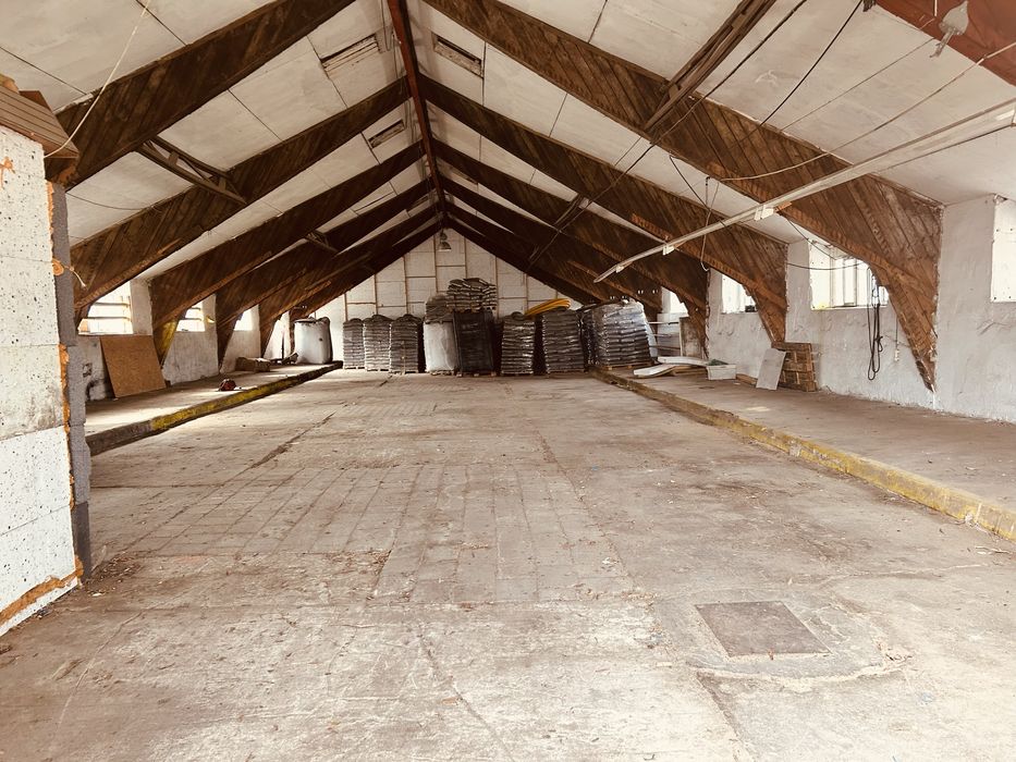 Hala magazynowa/produkcyjna 300 m2