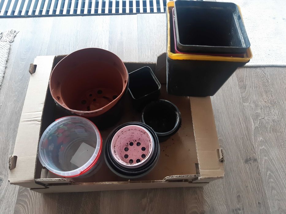 Oddam doniczki na rozsady różne wielkości