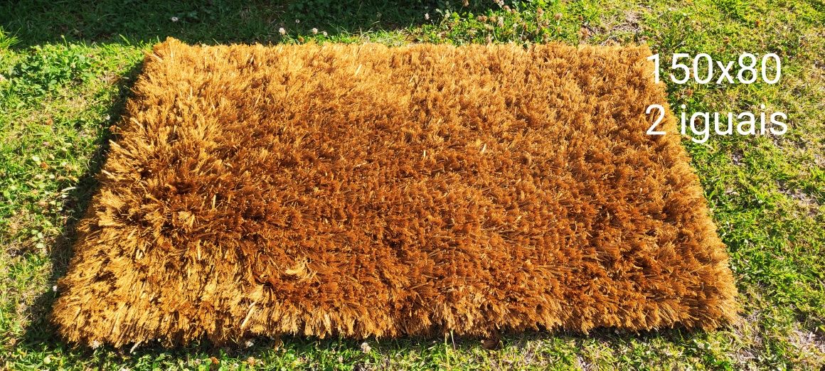Tapetes / carpetes vários
