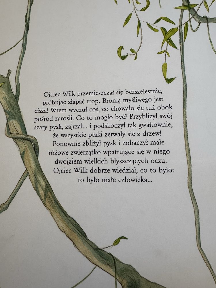Księga dżungli, twarda okladka
