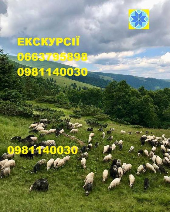 Похід на гору Хомяк, Гід на Хом'як, Провідник на Хомяк, Гора Хомяк Тур