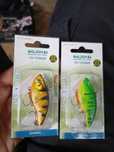 Dwie nowe cykady balzer 5.5cm