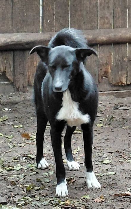 В добрі ручки гарна дівчинка.
