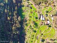 Quinta de 5 hectares - Frente de Rio - Arouca