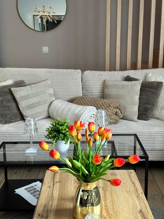 Domki Brenna 8 i 12 osobowe