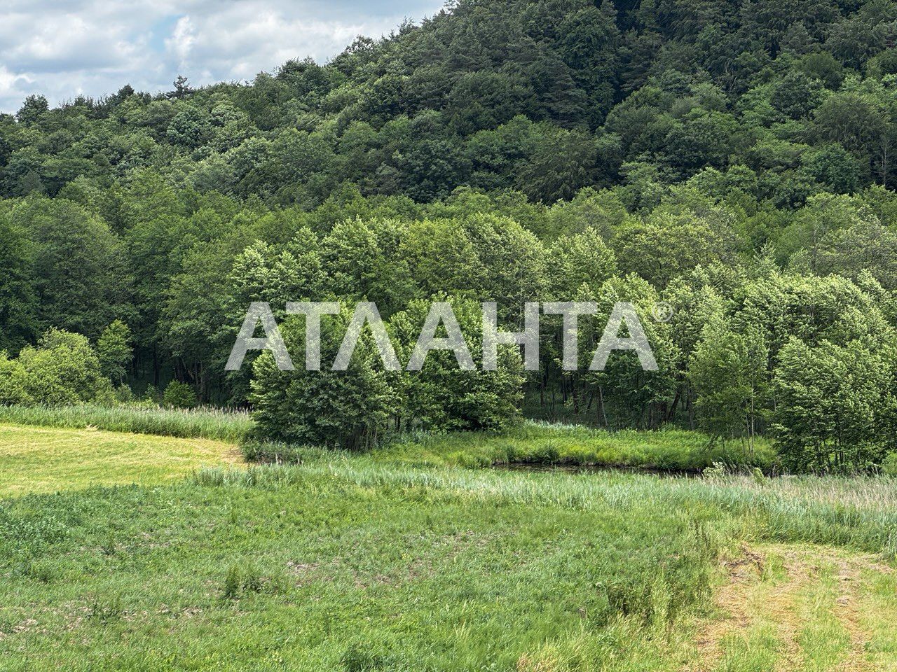 Продаж ділянки з виглядом на ліс і озеро 15 сот с/г