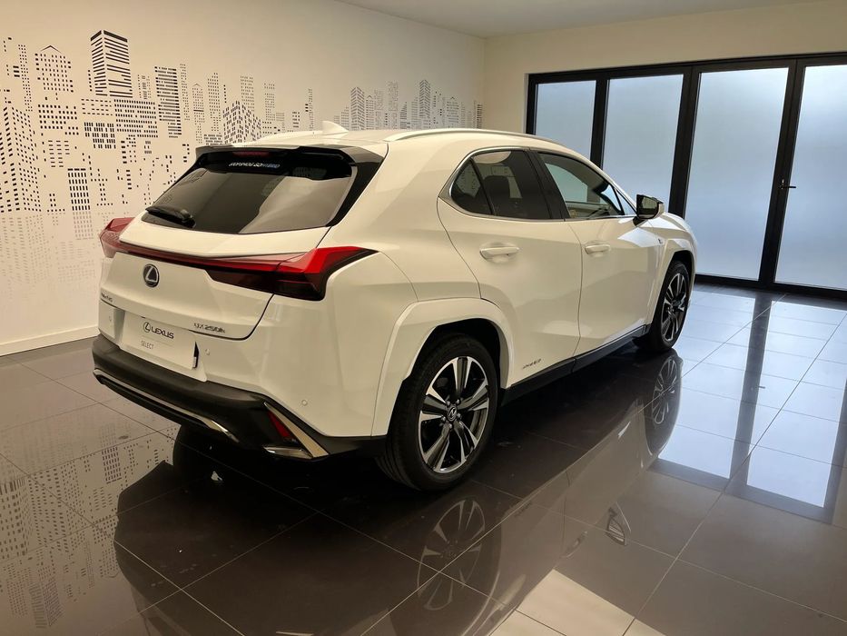 Lexus UX 250h F Sport, serwis ASO