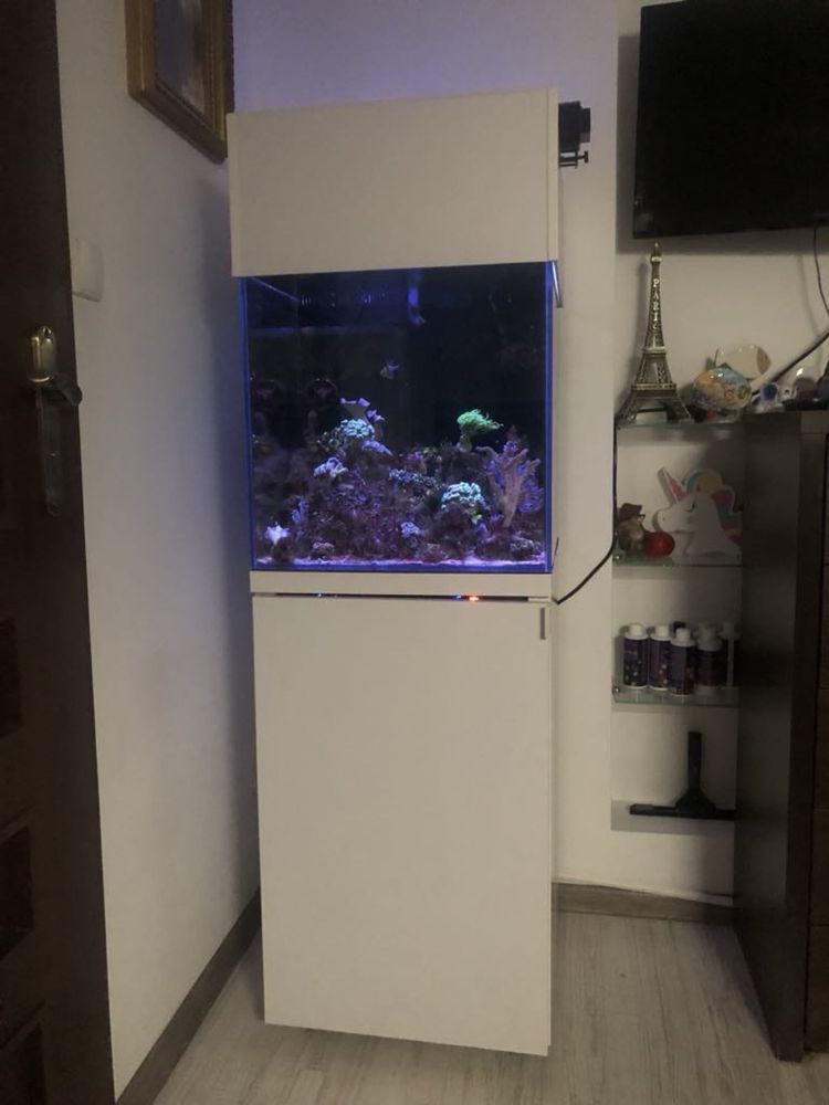 Akwarium opthi white 50x50x50+sump+szafka z koroną