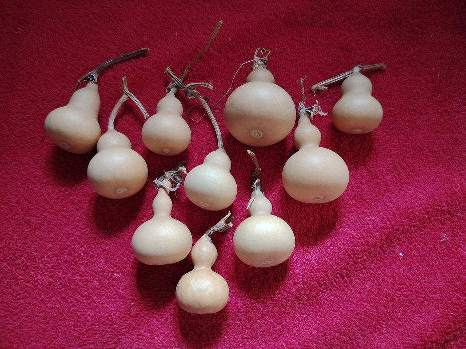 Cabaças mini, 4/6 cm  naturais para decoração