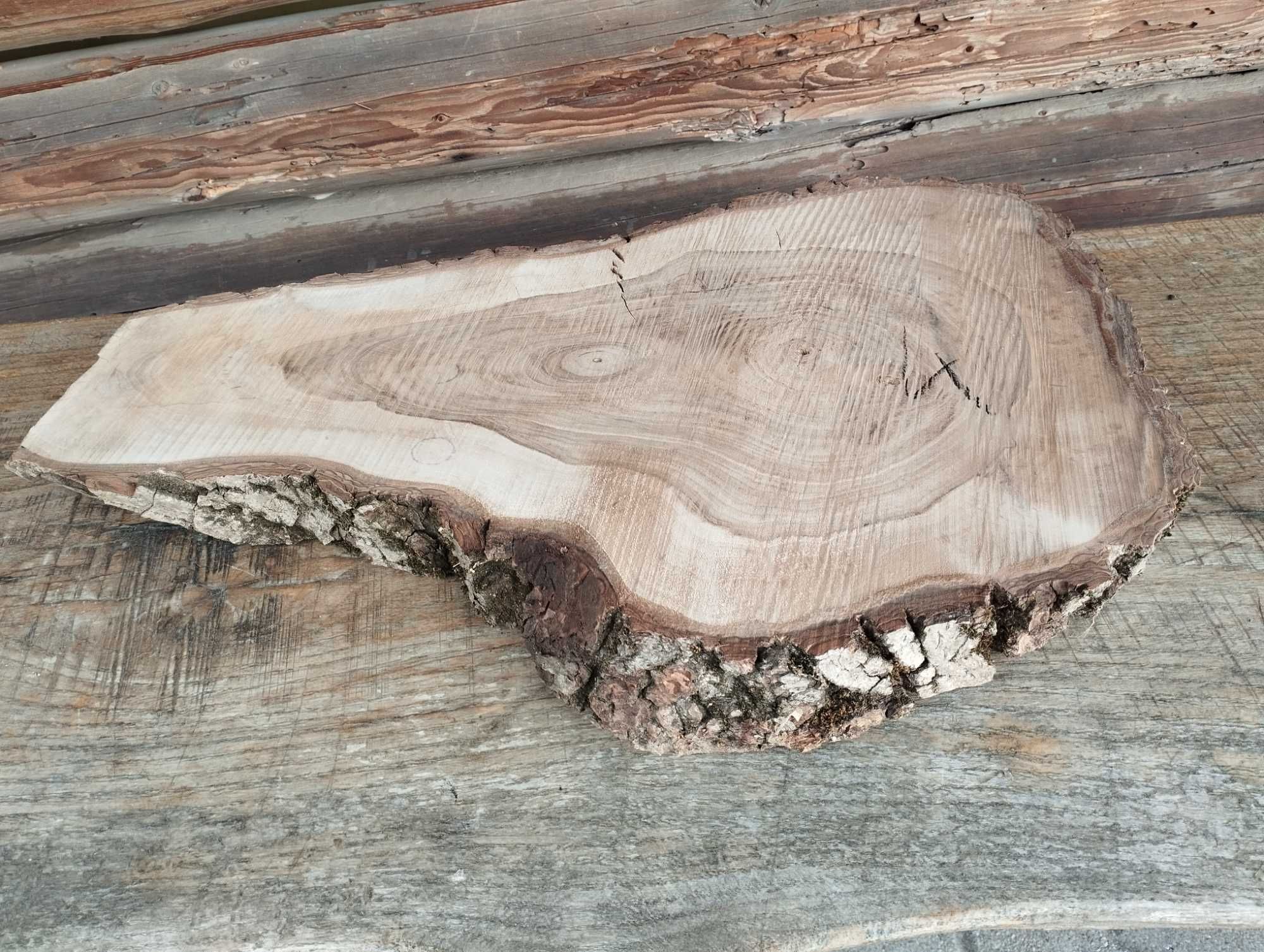 Plaster drewna duży Korzeń Piękny Solidny Orzech DIY Wybór sztuki HIT