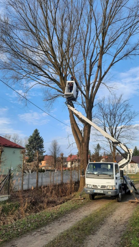 Usługi glebogryzarka, koszenie traw, wycinka drzew