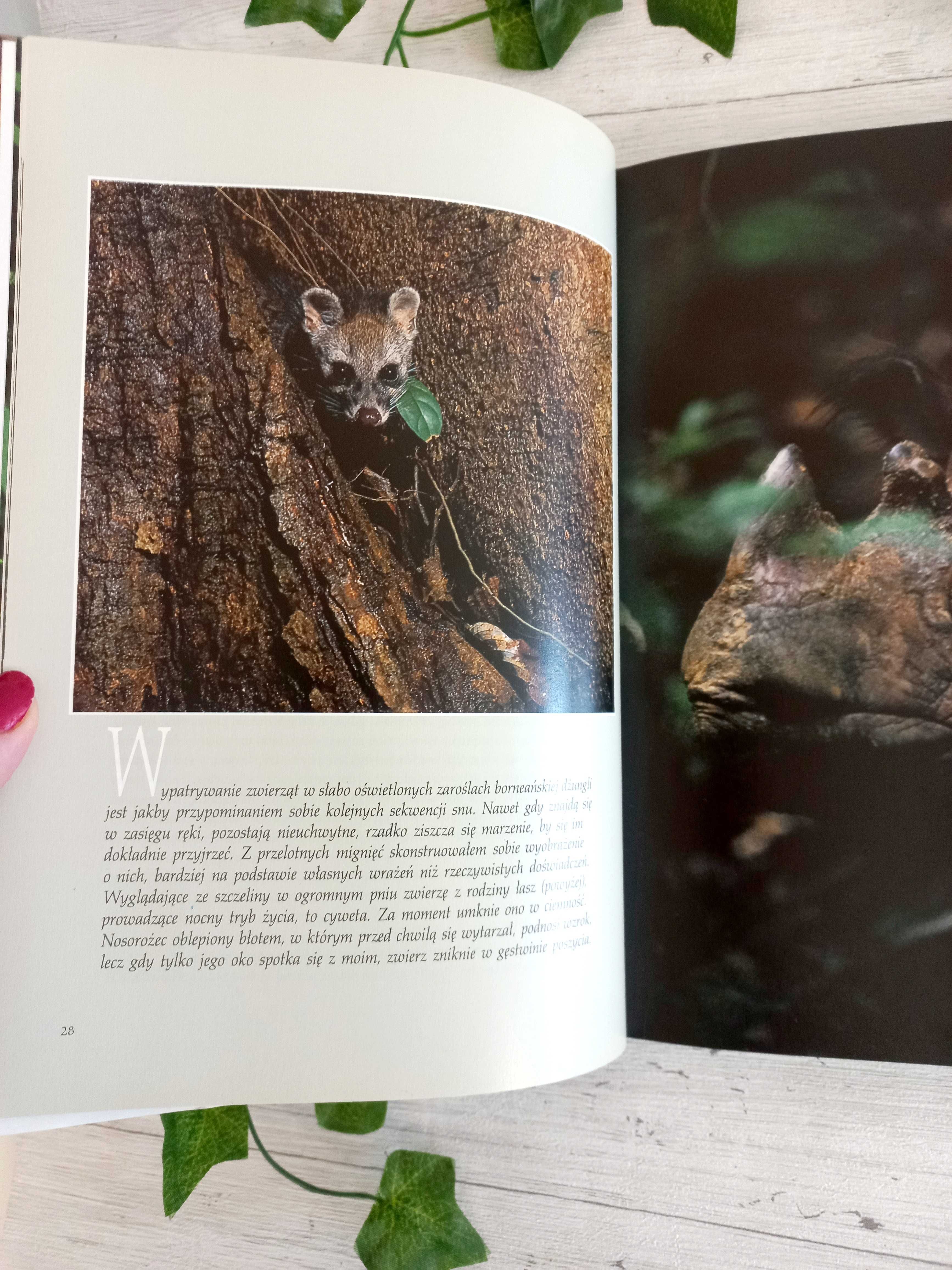 Zapomniany raj album National Geographic książka