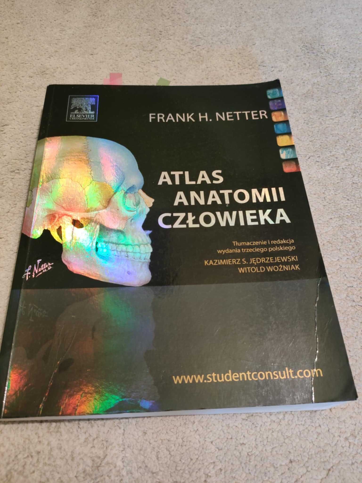 Atlas anatomii człowieka Netter