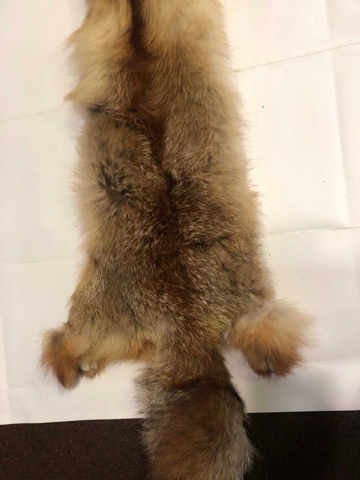Мех лисы,  хорька