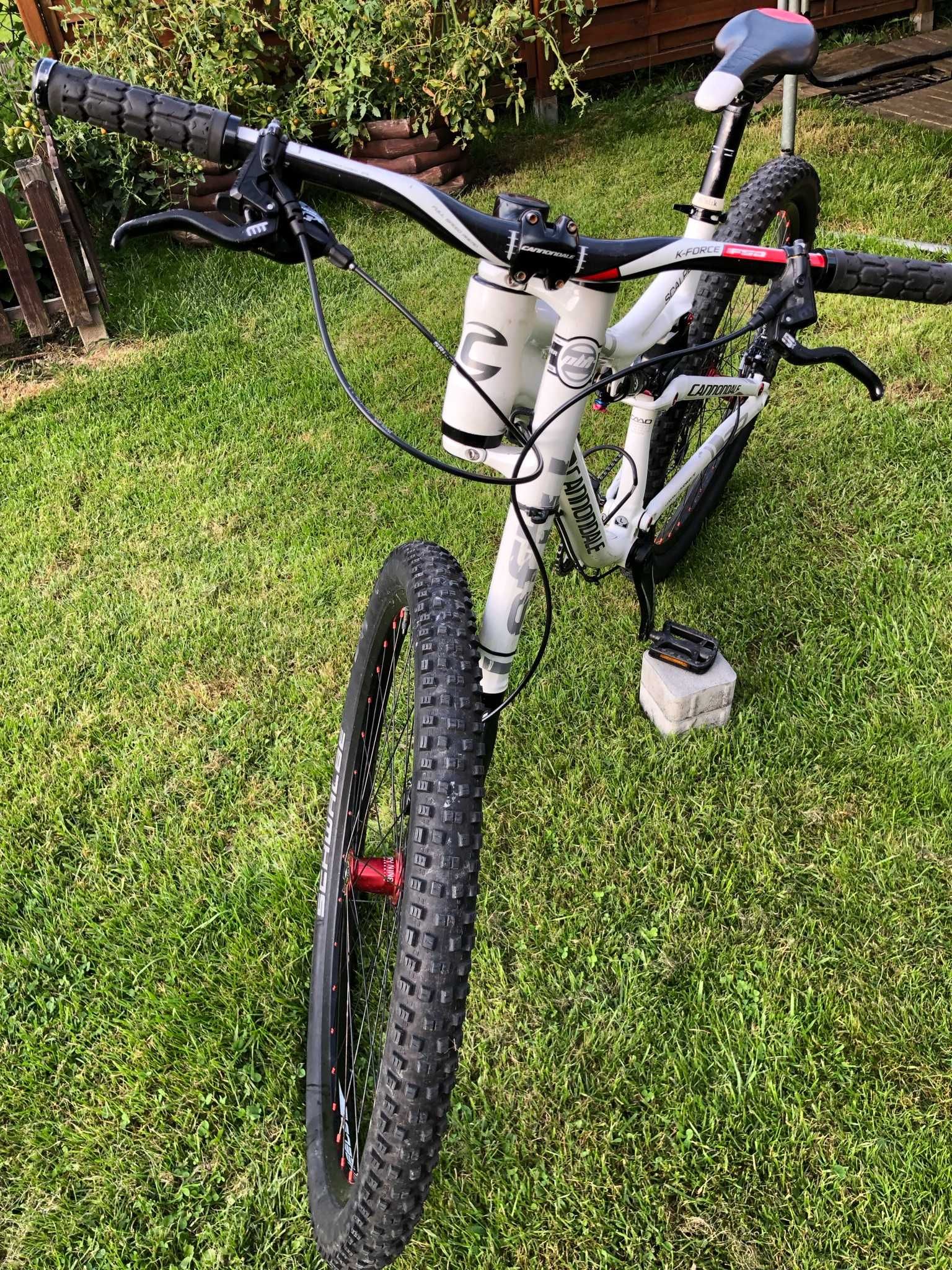 Rower Cannondale Scalpel 29