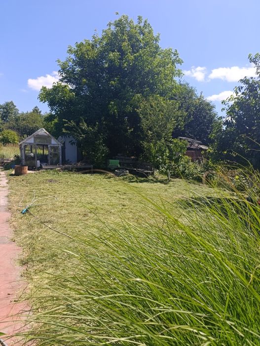 Дача біля Чепеліївки