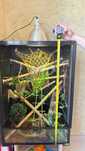 Terrarium dla kameleona z wyposażeniem AKTUALNE 30.06