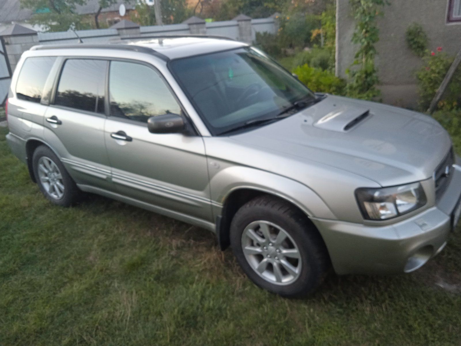 Subaru      forester