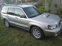 Subaru      forester