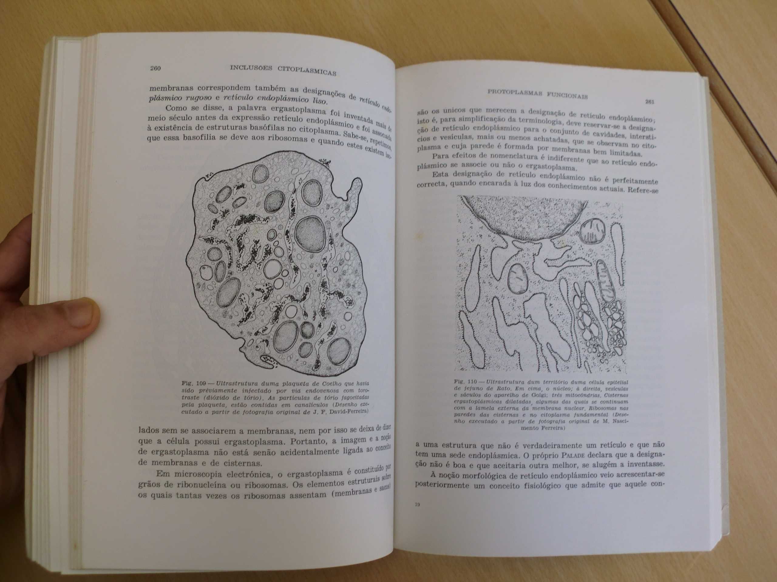 Célula, Lições de Biologia Médica, I Parte.
de M. J. Xavier Morato