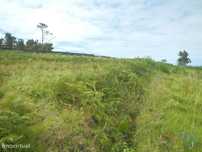 Terreno para construção em Ponta do Pargo de 1452,00 m2