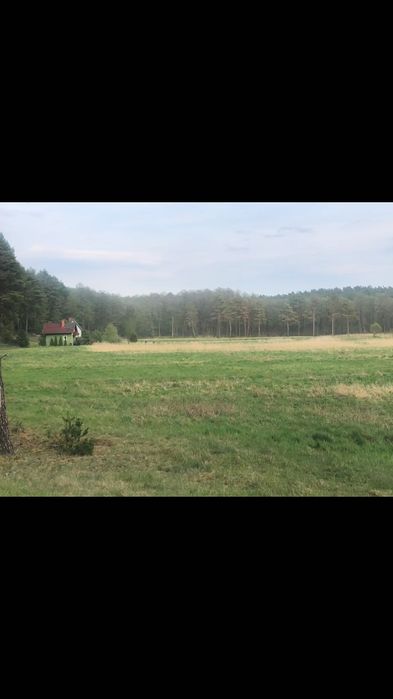 Działka blisko jeziora wieck pomorskie nad jeziorem