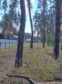 Фасадні ділянки в Лісовій Бучі по вул. Гоголя