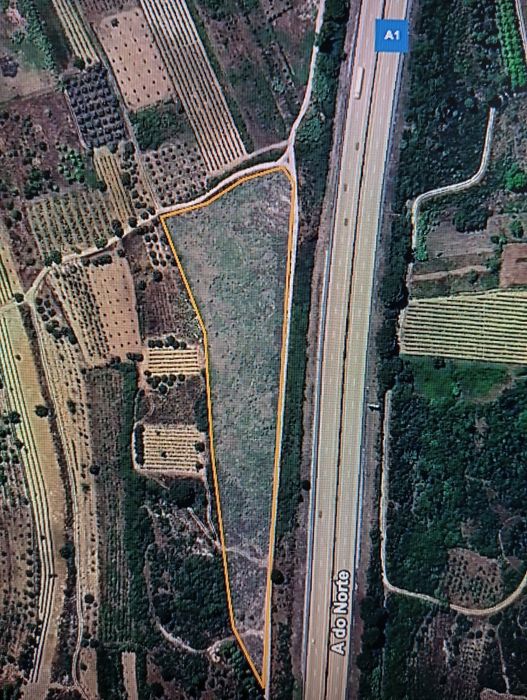 Terreno rústico - vinha Bairrada