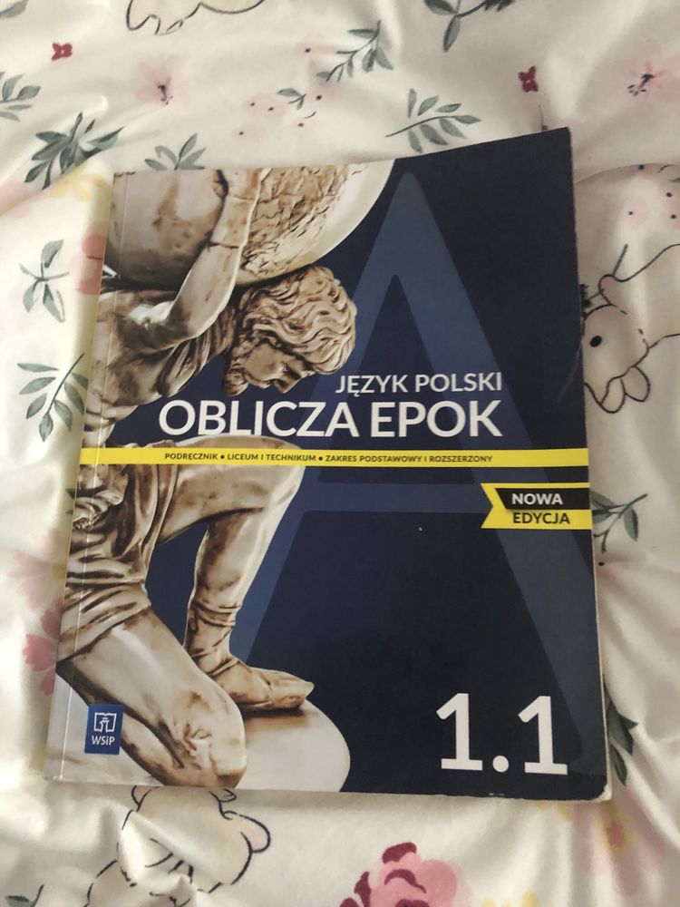Książka do polskiego zakres podstawowy 1.1