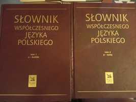 Dwa słowniki języka polskiego -prawie 1500 stron