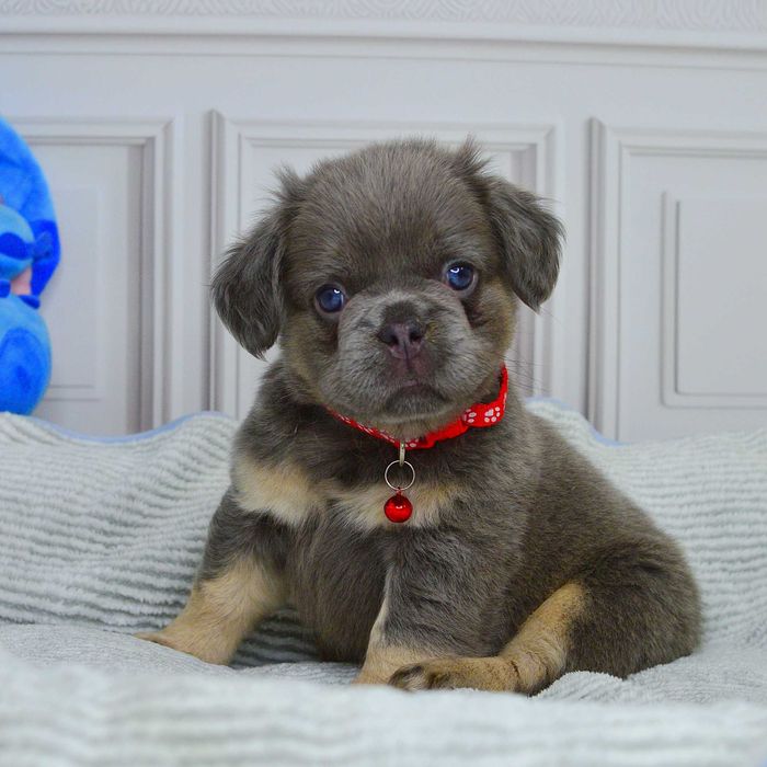 Прекрасні малюки у пошуках люблячих родин!!!