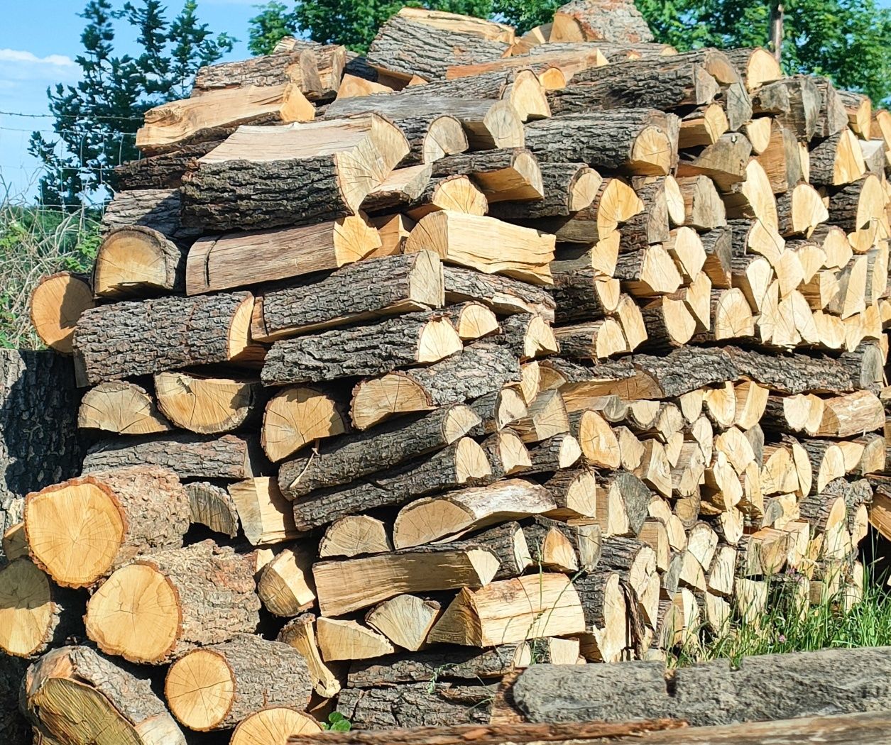 drewno kominkowe - Dąb