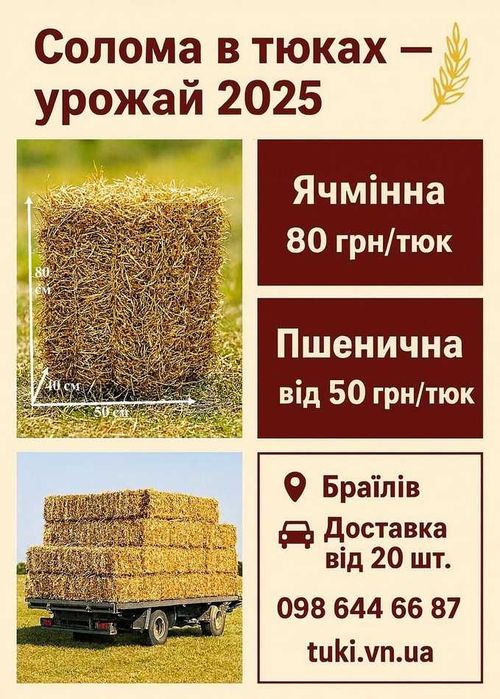 Солома в тюках тюки пшеничної соломи ячмінний тюк урожай 2025