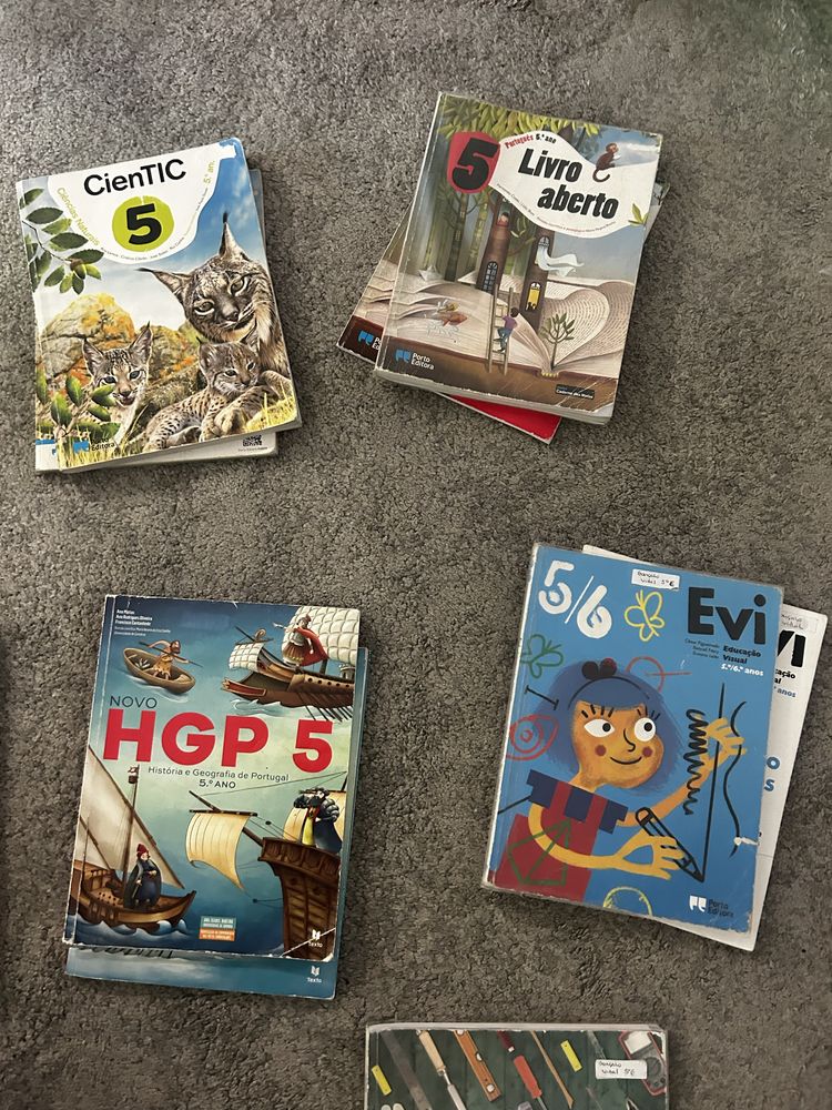 Conjunto Manual Caderno atividades 5 ano
