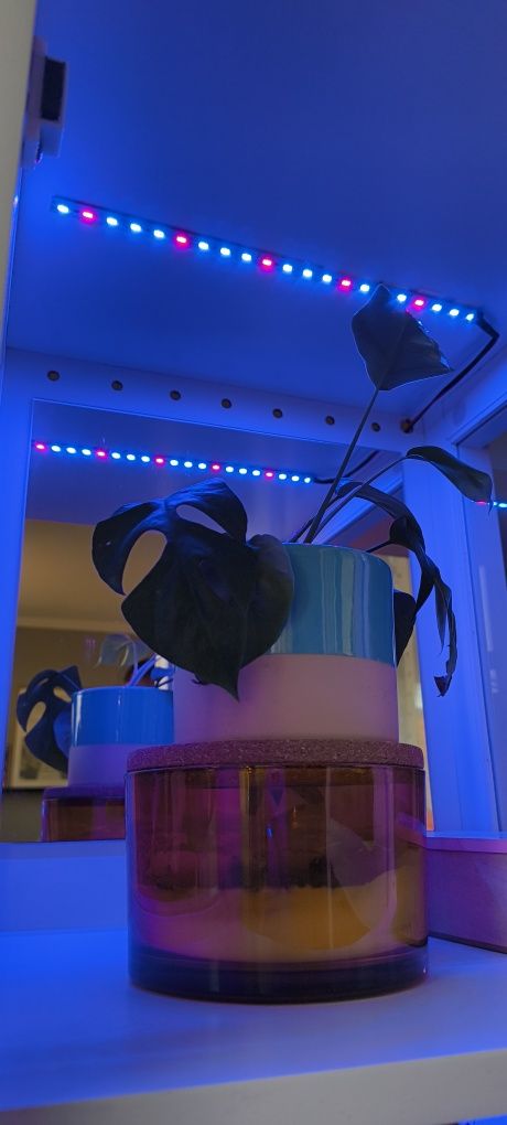 Witryna biała z oświetleniem do uprawy roślin grow light