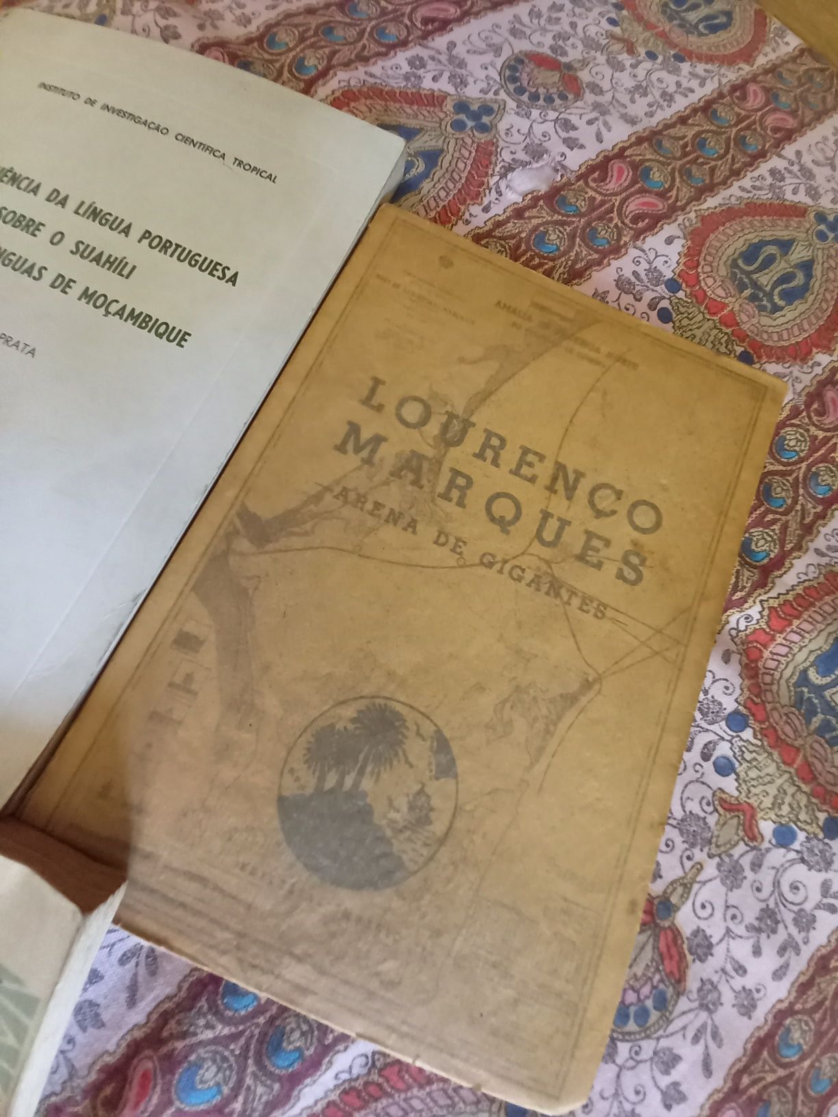 Conjunto barato de livros sobre Moçambique antigo
