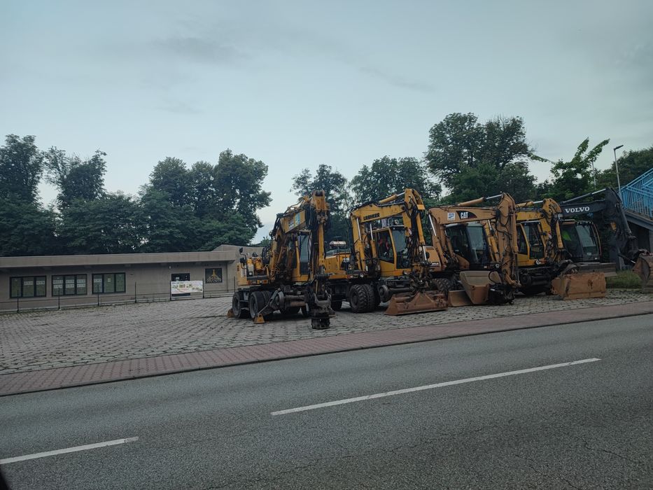 Czyszczenie działek wycinka drzew