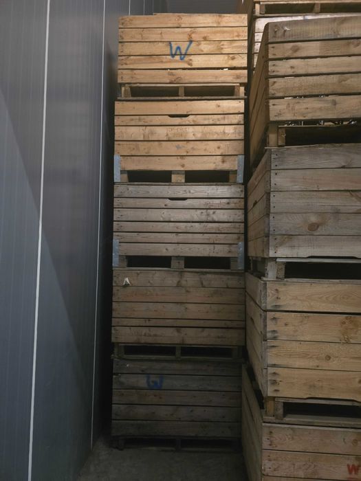 Skrzyniopalety na jabłka