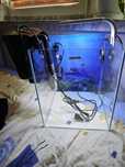 Akwarium Aquael Shrimp 30L kostka