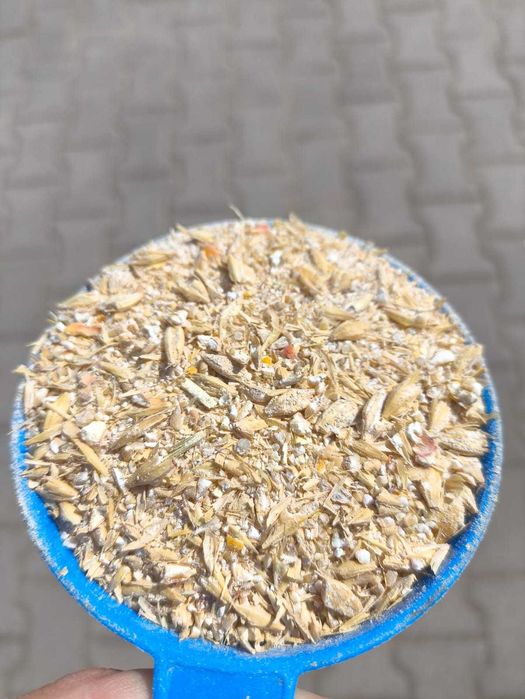 Jęczmień gnieciony 20 kg krajowy SUPER!