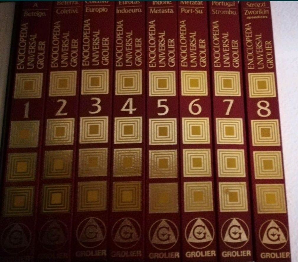 Enciclopédia Universal GROLIER
Volumes de 1 a 8.
Preço pelo conjunto.