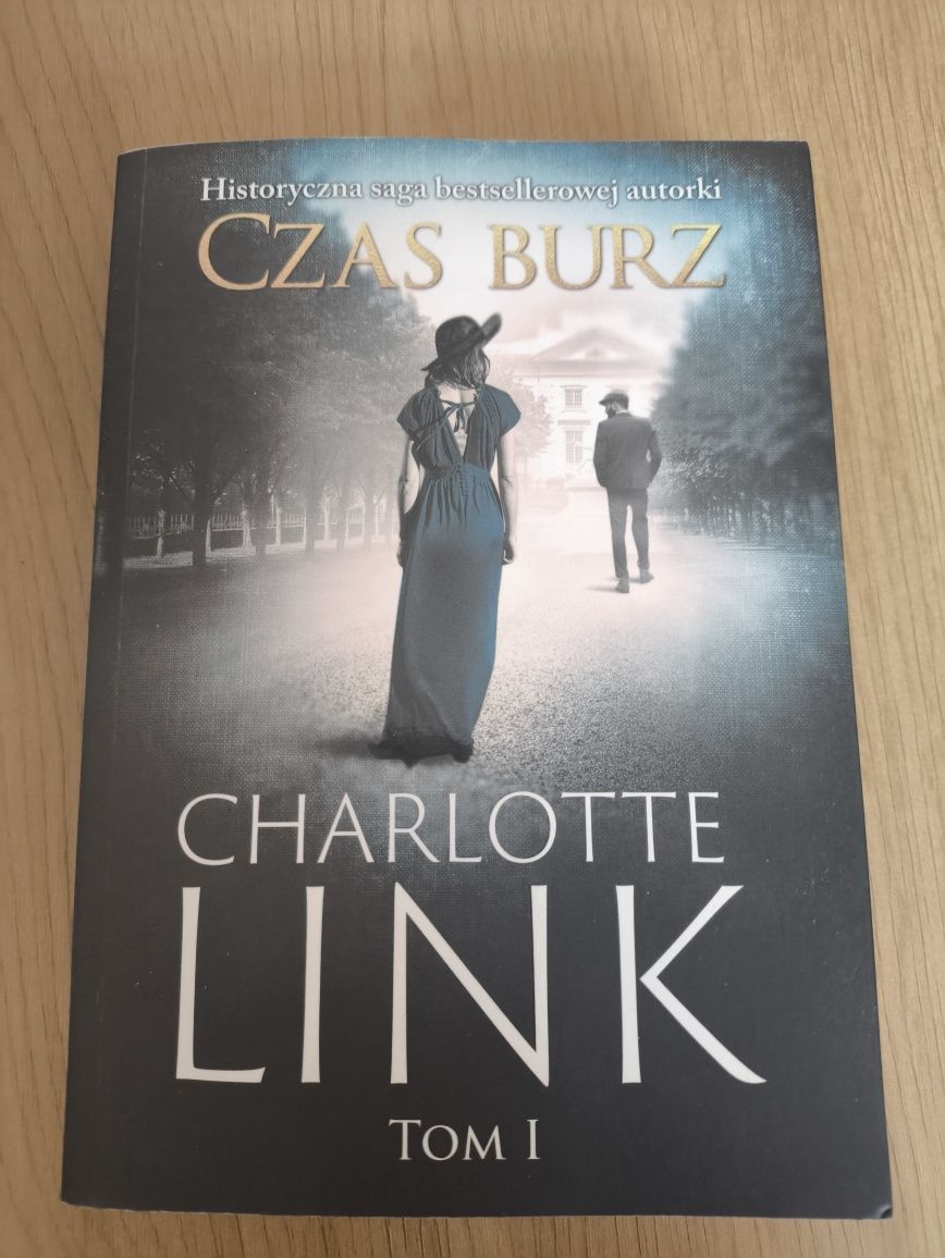 Czas burz, Charlotte Link